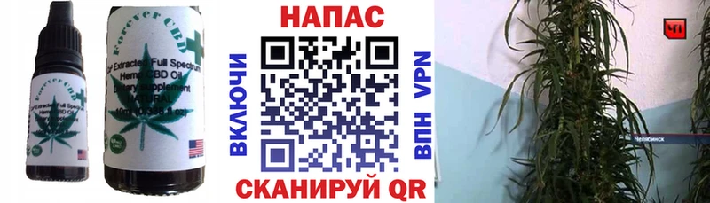 продажа наркотиков  Кинель  Cannafood марихуана 