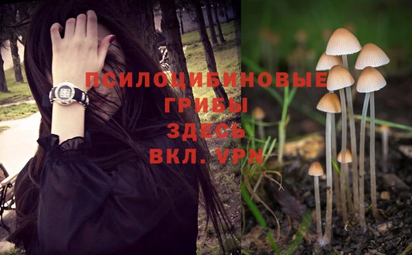 СК Алзамай