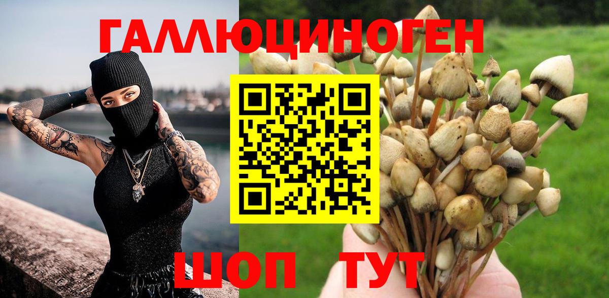 Галлюциногенные грибы ЛСД Кинель